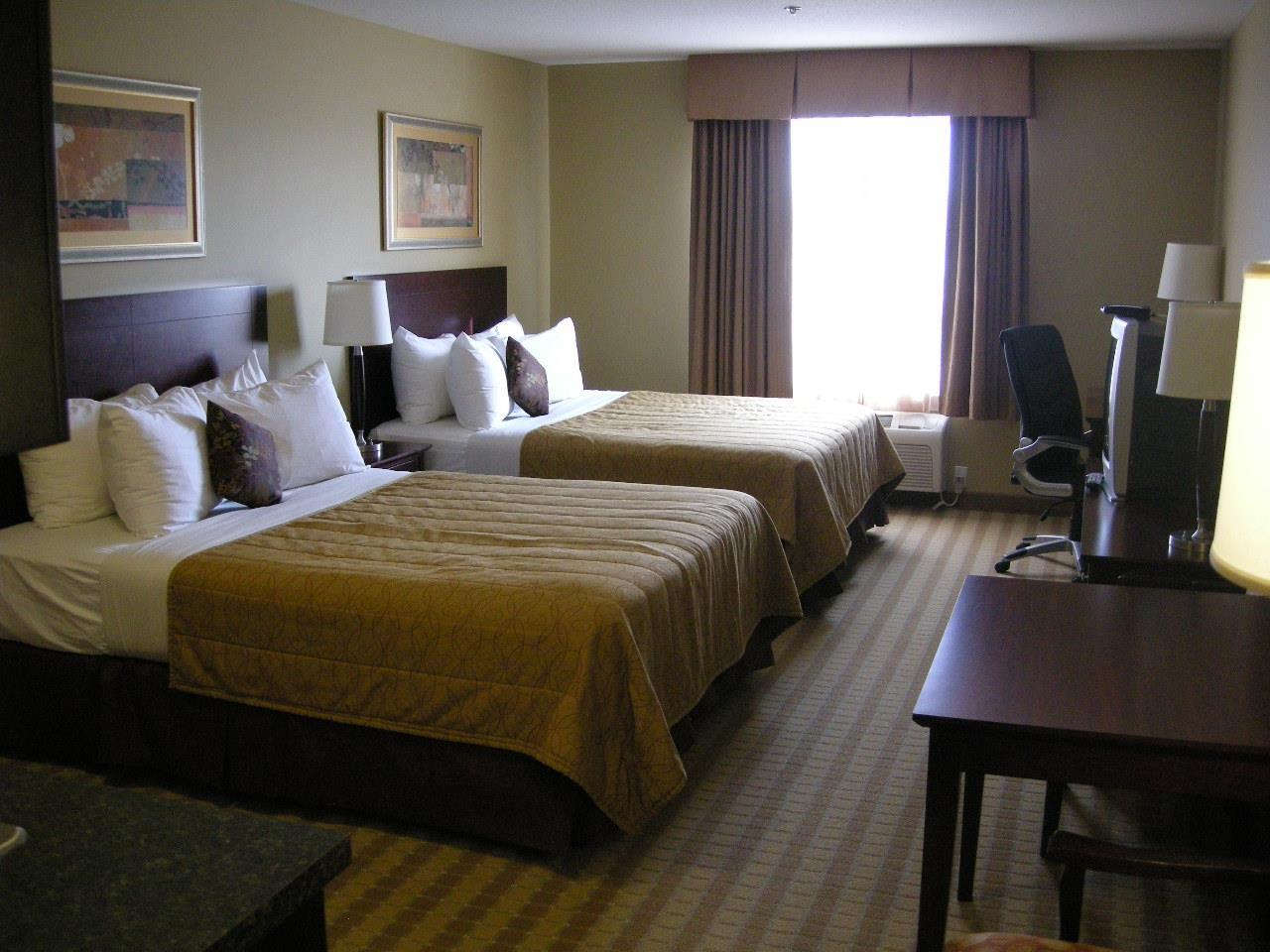 Best Western Rocky Mountain House Room photo