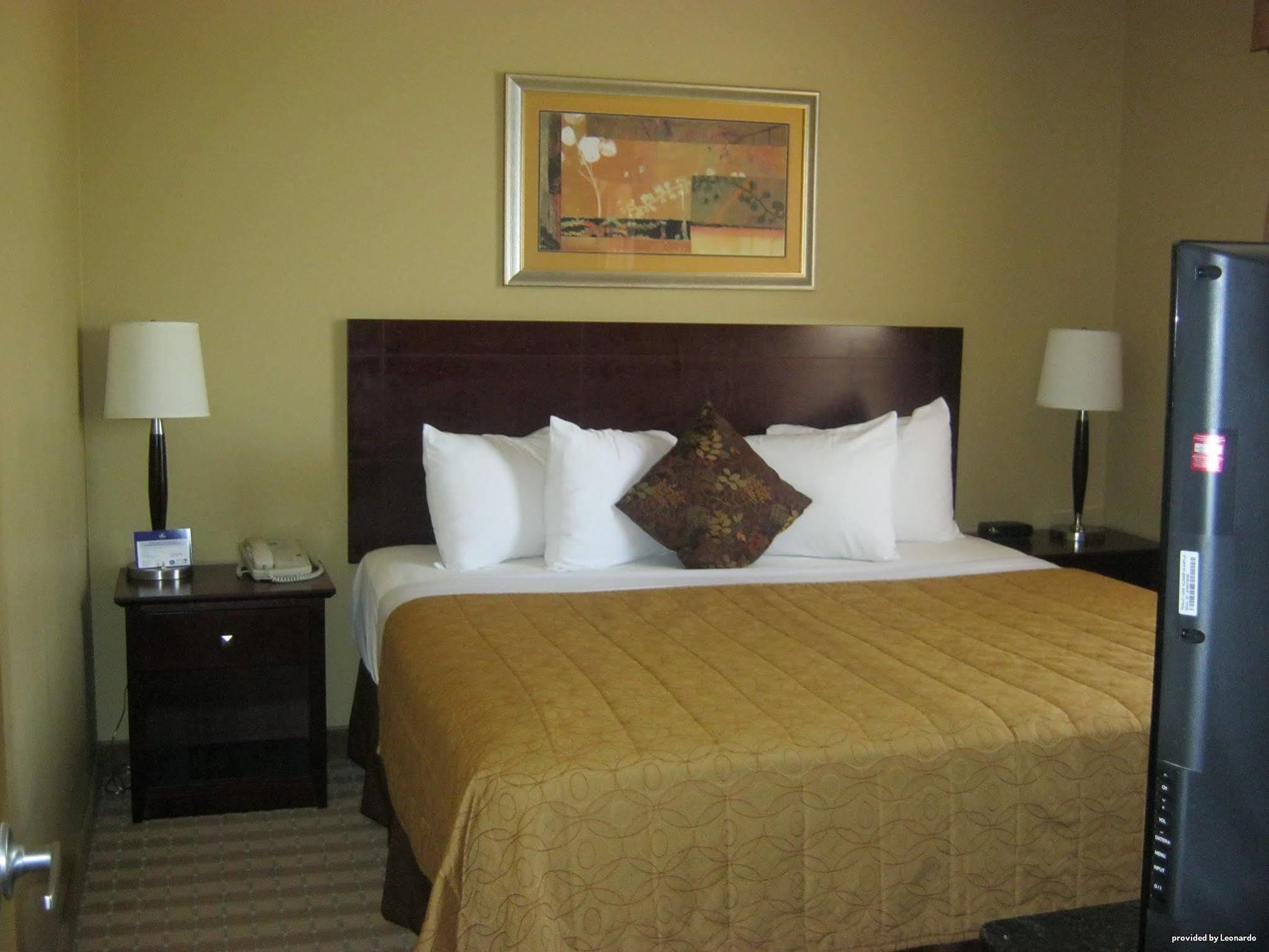 Best Western Rocky Mountain House Room photo
